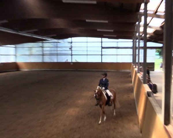 Reitturnier Herbern 2021