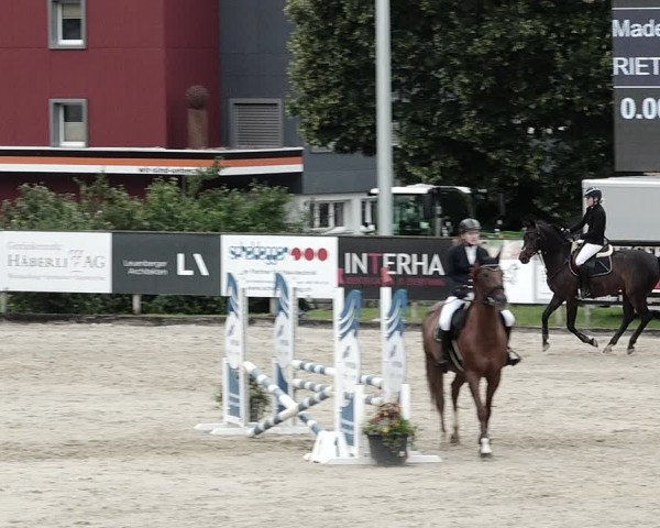 Reitturnier Dagmersellen 2021