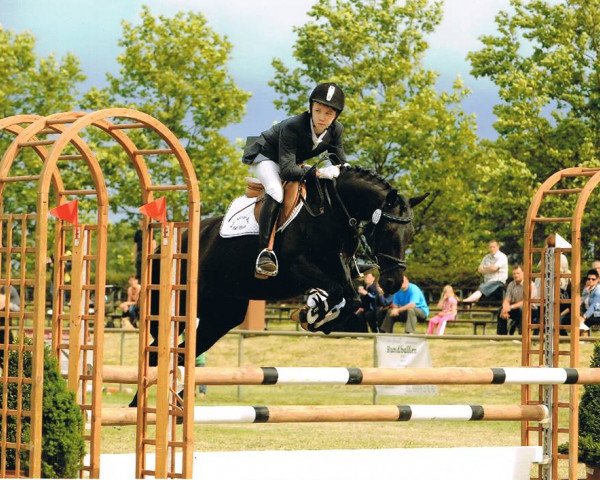 Springpferd Littllady (Deutsches Reitpony, 2003, von Top Mariano)
