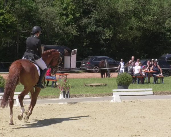Reitturnier Heiligenwald 2021