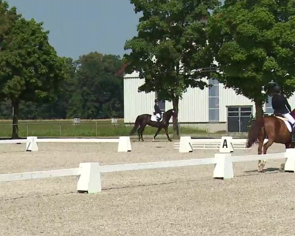 Reitturnier Rot am See- Musdorf 2021