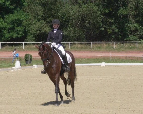 Reitturnier Heiligenwald 2021