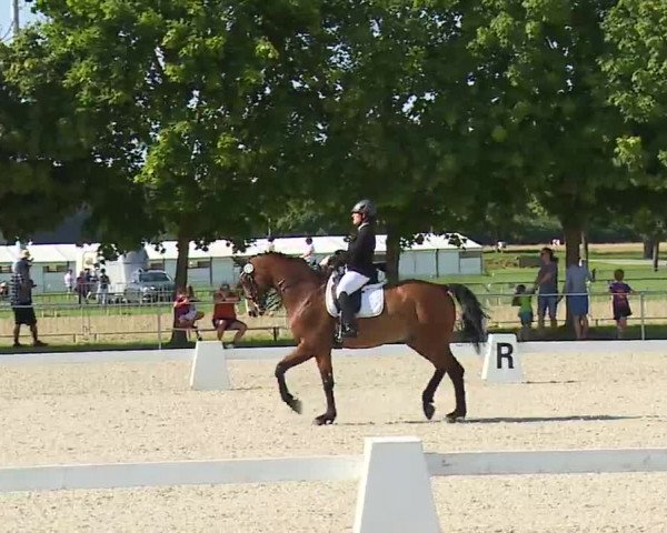 Reitturnier Rot am See- Musdorf 2021