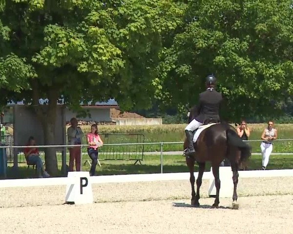 Reitturnier Rot am See- Musdorf 2021