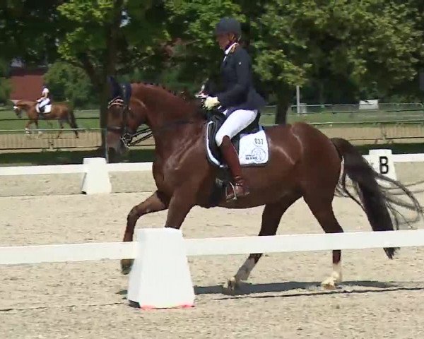 Reitturnier Rot am See- Musdorf 2021