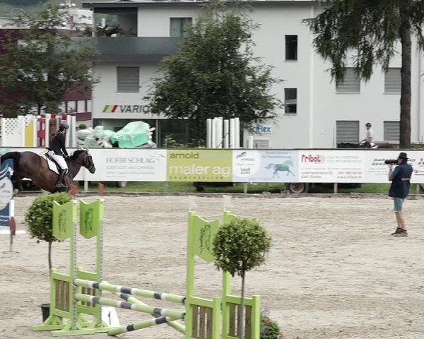 Reitturnier Dagmersellen 2021