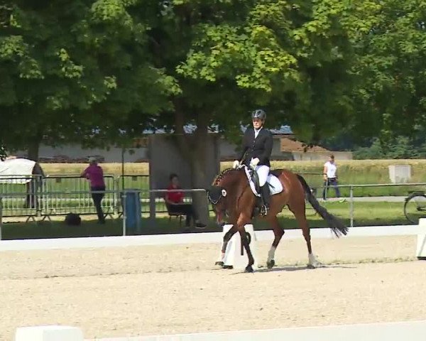 Reitturnier Rot am See- Musdorf 2021