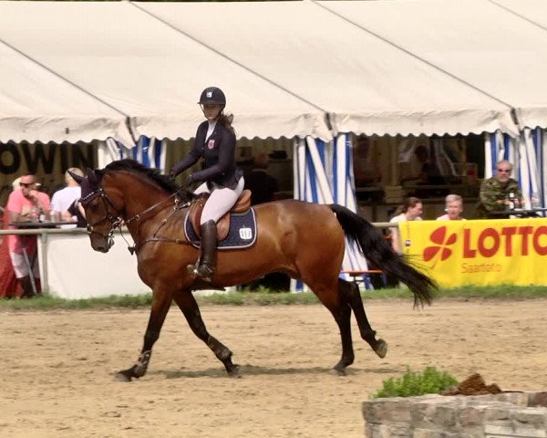 Reitturnier Heiligenwald 2021