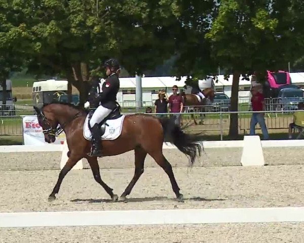 Reitturnier Rot am See- Musdorf 2021