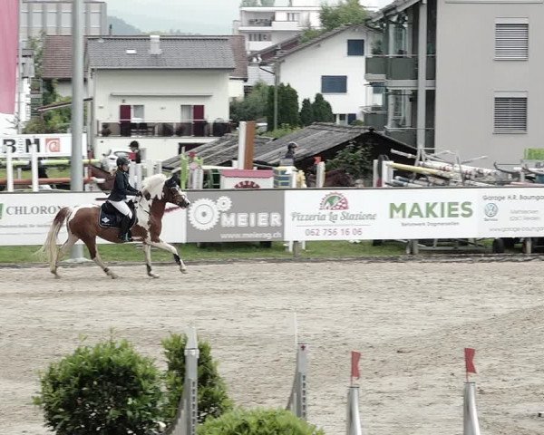 Reitturnier Dagmersellen 2021