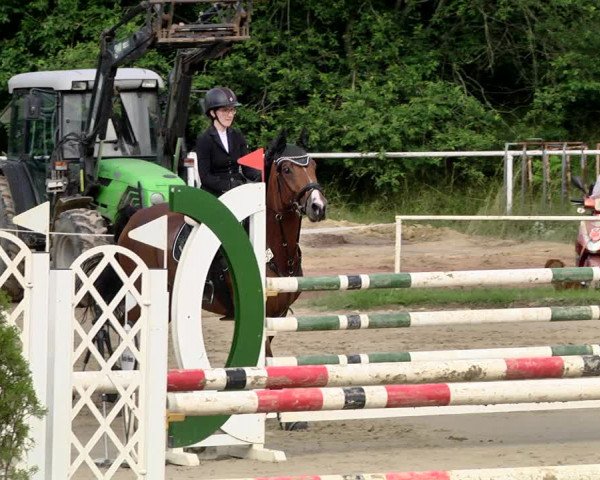 Reitturnier Heiligenwald 2021