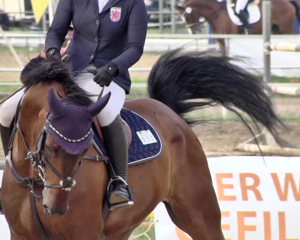 Reitturnier Heiligenwald 2021