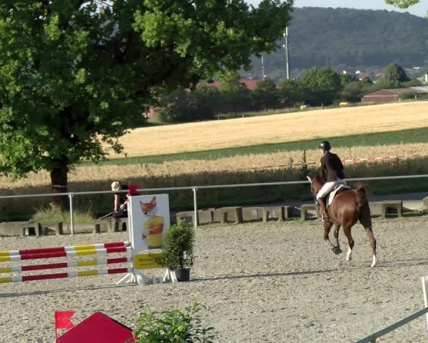 Reitturnier Ehningen 2021