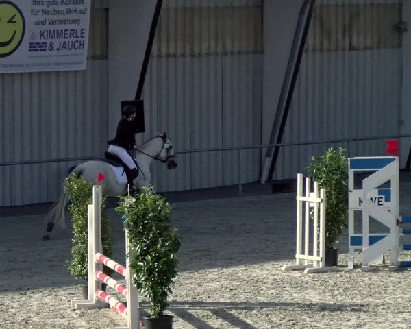 Reitturnier Ehningen 2021