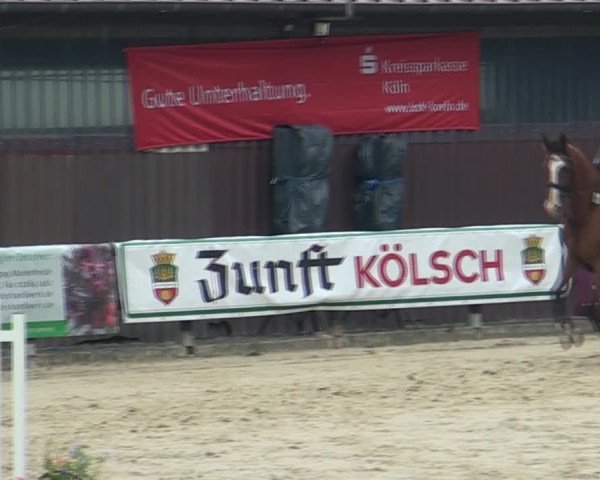 Reitturnier Marienheide-Kempershöhe 2021