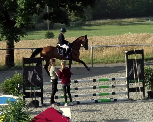 Reitturnier Ehningen 2021