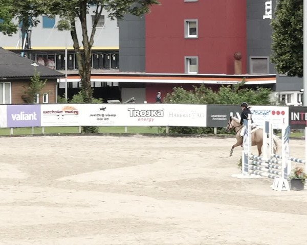 Reitturnier Dagmersellen 2021