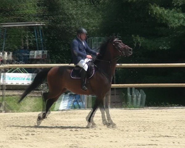 Reitturnier Marienheide-Kempershöhe 2021