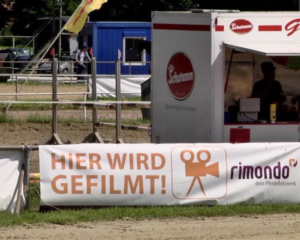 Reitturnier Heiligenwald 2021