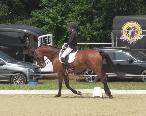 Reitturnier Heiligenwald 2021