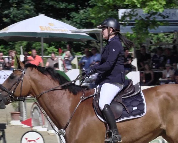 Reitturnier Heiligenwald 2021