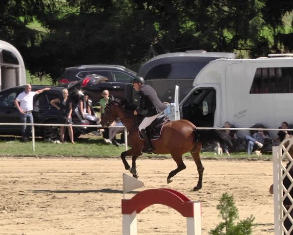 Reitturnier Heiligenwald 2021