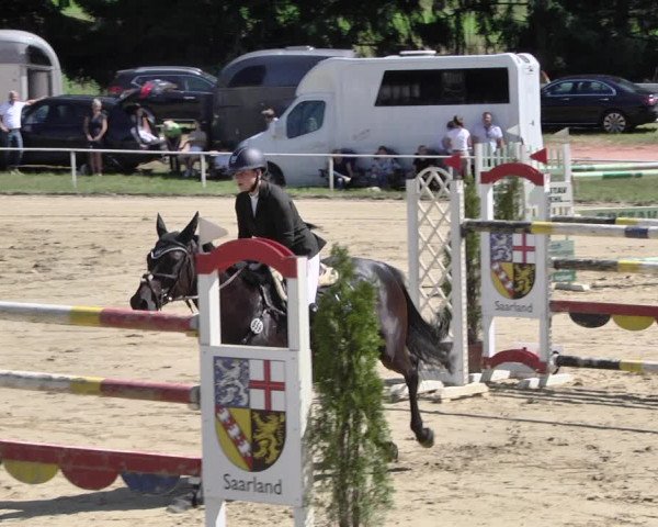 Reitturnier Heiligenwald 2021