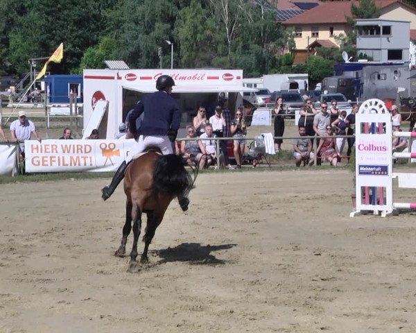 Reitturnier Heiligenwald 2021
