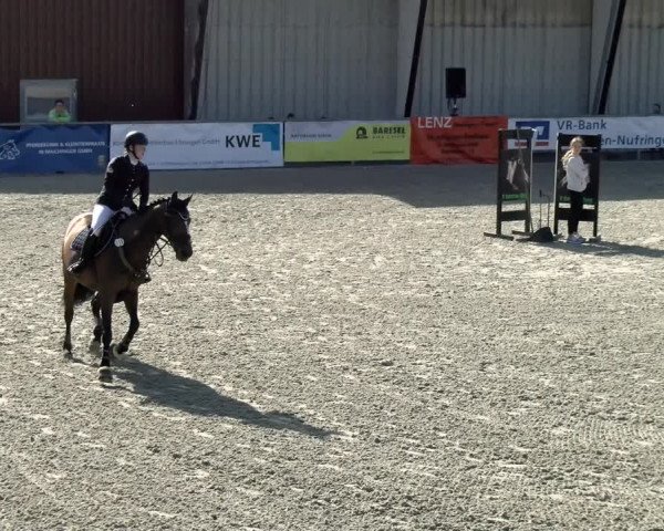 Reitturnier Ehningen 2021