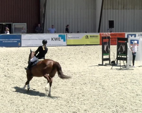 Reitturnier Ehningen 2021