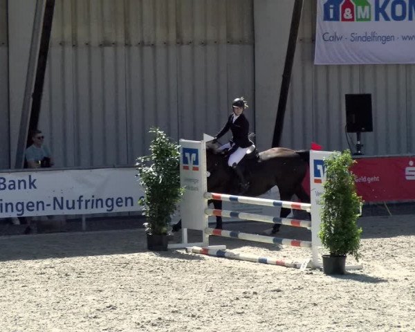 Reitturnier Ehningen 2021