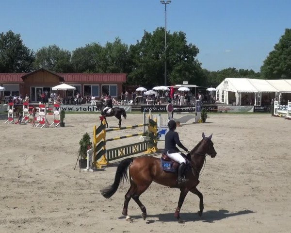 Giebelwald Classics mit Westfälische Meisterschaften Dressur und Springen 2021