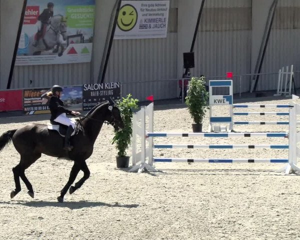 Reitturnier Ehningen 2021