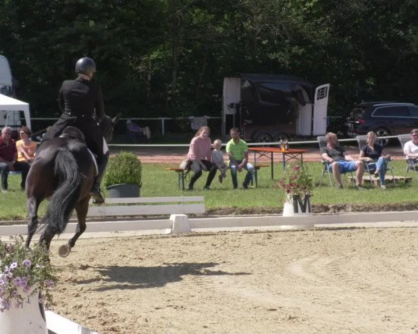 Reitturnier Heiligenwald 2021