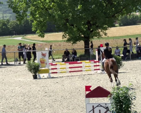 Reitturnier Ehningen 2021