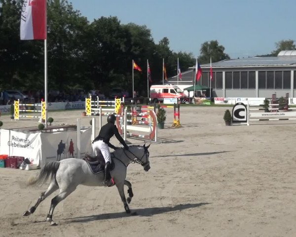 Giebelwald Classics mit Westfälische Meisterschaften Dressur und Springen 2021