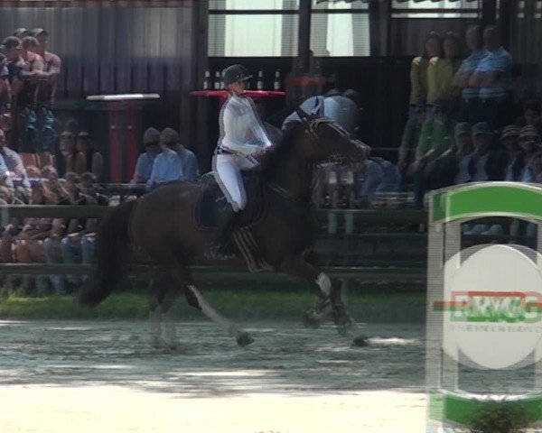 Reitturnier Marienheide-Kempershöhe 2021