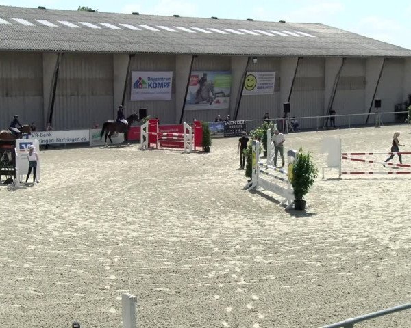 Reitturnier Ehningen 2021