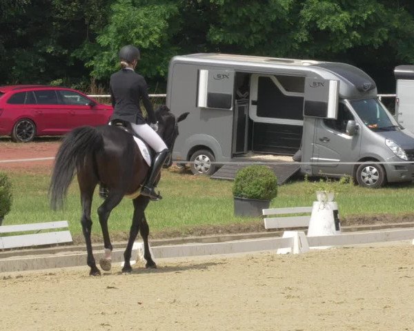 Reitturnier Heiligenwald 2021