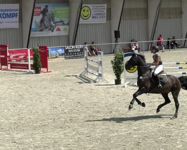 Reitturnier Ehningen 2021