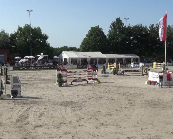 Giebelwald Classics mit Westfälische Meisterschaften Dressur und Springen 2021