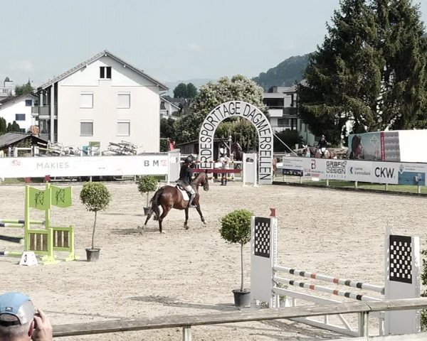 Reitturnier Dagmersellen 2021