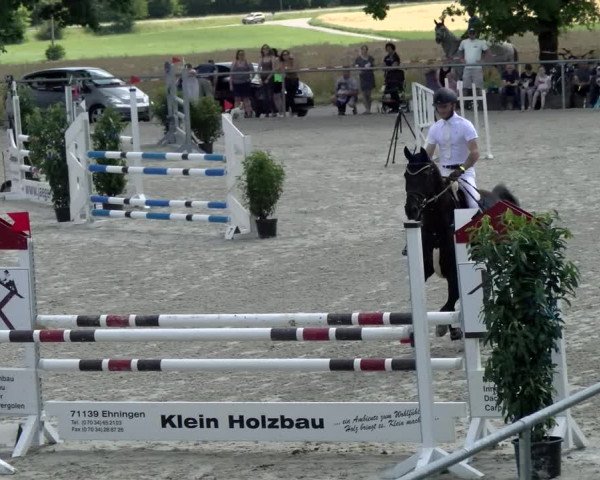 Reitturnier Ehningen 2021