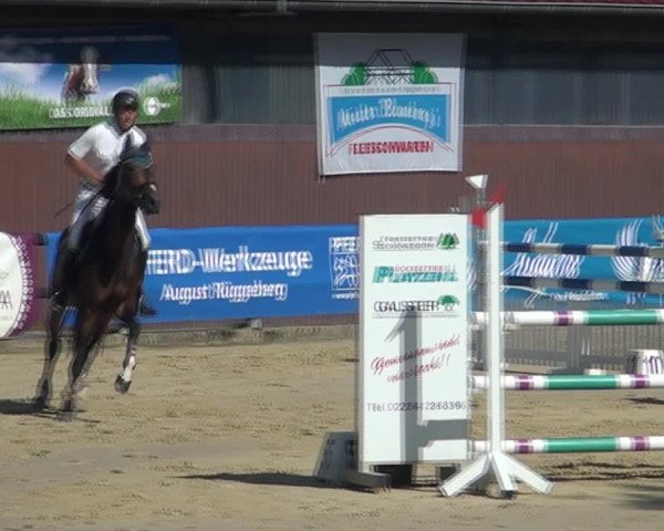 Reitturnier Marienheide-Kempershöhe 2021