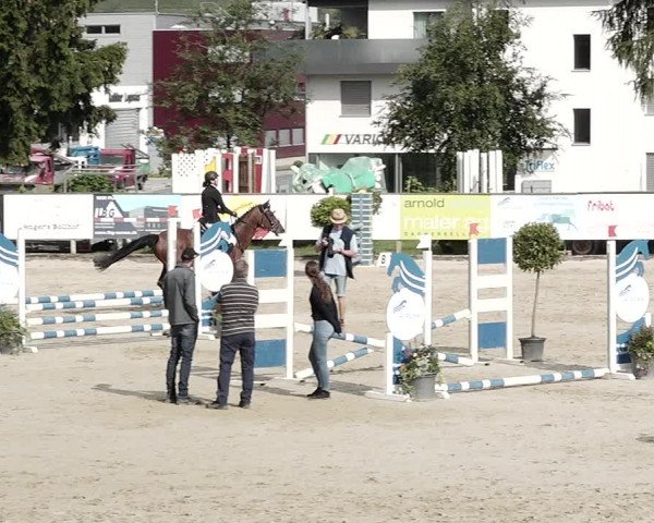 Reitturnier Dagmersellen 2021