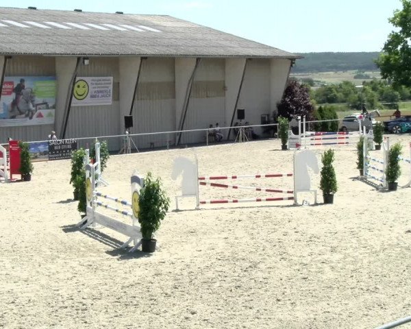 Reitturnier Ehningen 2021