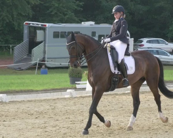 Reitturnier Heiligenwald 2021