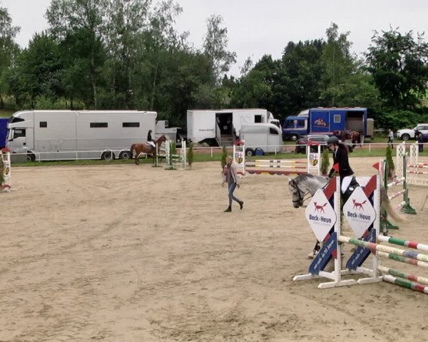 Reitturnier Heiligenwald 2021