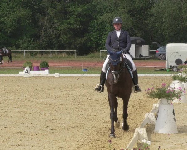 Reitturnier Heiligenwald 2021