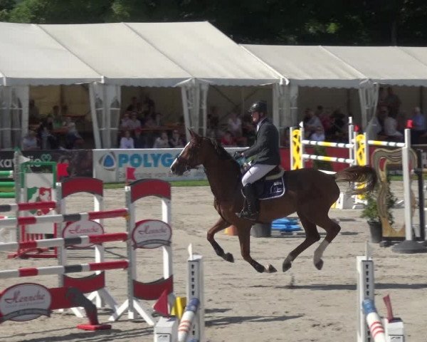 Giebelwald Classics mit Westfälische Meisterschaften Dressur und Springen 2021